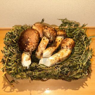 和歌山県龍神